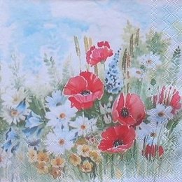 12006. Поле с маками. 10 шт., 22 руб/шт