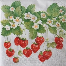12350. Земляника. 10 шт., 22 руб/шт