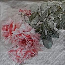 12422. Розовые розы