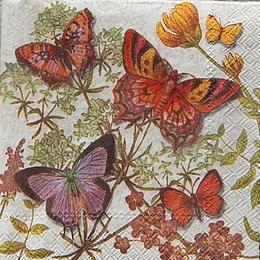 12432. Бабочки на цветах. Punch Studio. 10 шт., 18 руб/шт