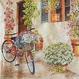 12553. Велосипед и цветы