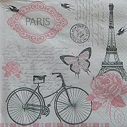 12584. Парижский велосипед