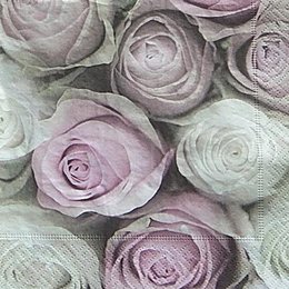 12608. Белые и розовые розы. 5 шт., 31 руб/шт