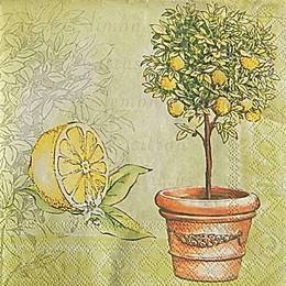 12986. Лимон и дерево. 5 шт., 16  руб/шт
