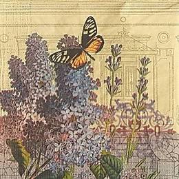 20015. Сирень и бабочка