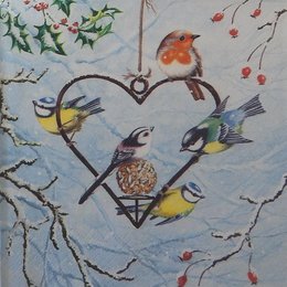 20122. Птицы и сердце