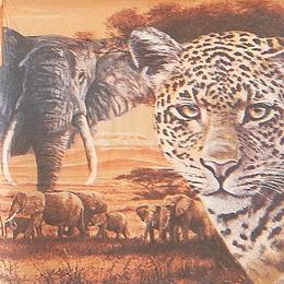 20145. Животные в Африке. 15 шт., 13 руб/шт