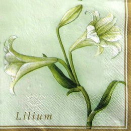 2117. Lilium. 5 шт., 10 руб/шт