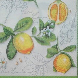 2859. Лимоны на рисунке