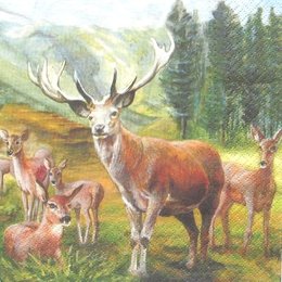 3122. Стадо оленей. 5 шт., 11 руб/шт