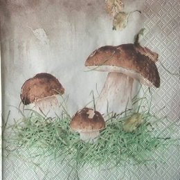 4550. Боровики. Мона Свард