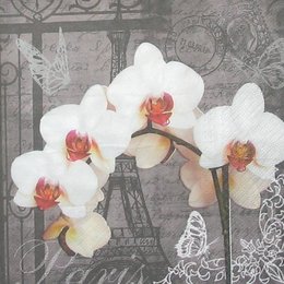 12828. Париж с орхидеями