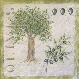 4594. Оливковое дерево