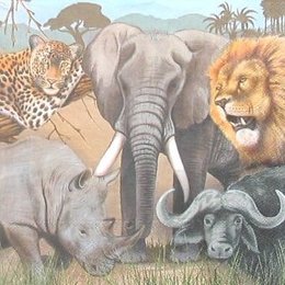 4961.  Животные Африки