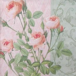 8259. Розы на бледно-розовом. 5 шт., 11 руб/шт