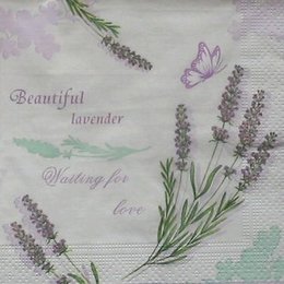 8335. Beautiful lavender.
