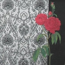 8776. Красные розы на черно белом фоне.