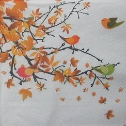 8883. Осенние листья на белом
