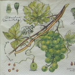 8929. Зеленый виноград. 10 шт., 8 руб/шт