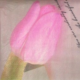 9106. Розовый тюльпан. 5 шт., 10 руб/шт
