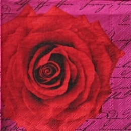 9245. Алая роза на розовом фоне