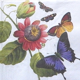 9823. Бабочки в саду