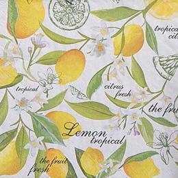 9872. Тропический лимон