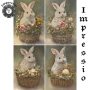 19114. Декупажная карта Impressio, плотность 45 г/м2