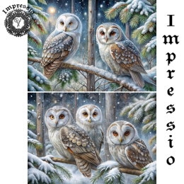 19281. Декупажная карта Impressio, плотность 45 г/м2