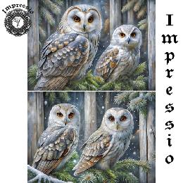 219282. Рисовая декупажная карта Impressio. 25 г/м2